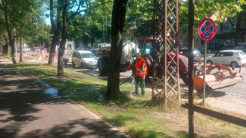 Rīgas pašvaldība aicina sausuma laikā nepļaut zāli un piedalīties koku laistīšanā