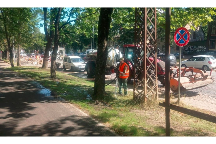 Rīgas pašvaldība aicina sausuma laikā nepļaut zāli un piedalīties koku laistīšanā