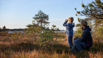 Bites, koki un citi labie darbi - ko Neste dara bioloģiskās daudzveidības labā?