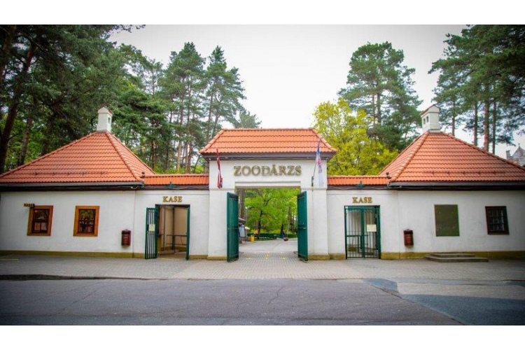 Rīgas Zoodārzā nonākusi neparastas krāsas varde