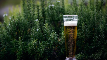 Pētījums: Alus un vīns – populārākie mazgrādīgie dzērieni
