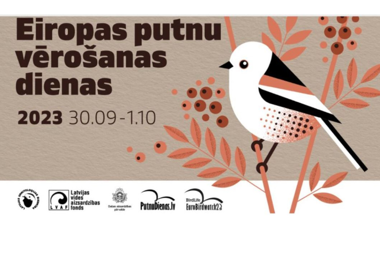 Nedēļas nogalē Eiropas putnu vērošanas dienās aicina vērot gājputnus un ziņot par redzēto pētniekiem