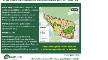 RĪGAS MEŽI veiks meža kopšanu starp Jaunciema gatvi un Vadžu ielu