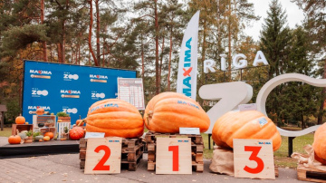 Noskaidrots 2023. gada ķirbju līderis – 290,5 kg smagais ķirbis no Dobeles novada