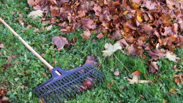Lapu nodošana Rīgā atsāksies 11. novembrī