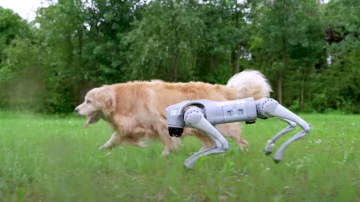 Roboti ieņem Ķīpsalu!