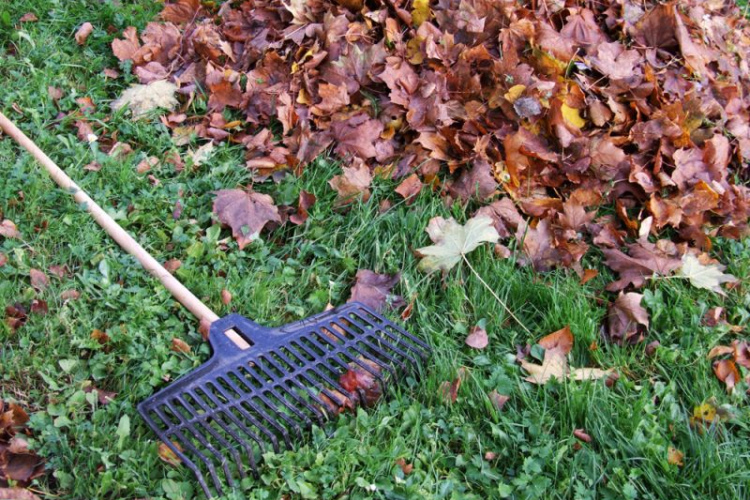 Lapu nodošana Rīgā atsāksies 11. novembrī
