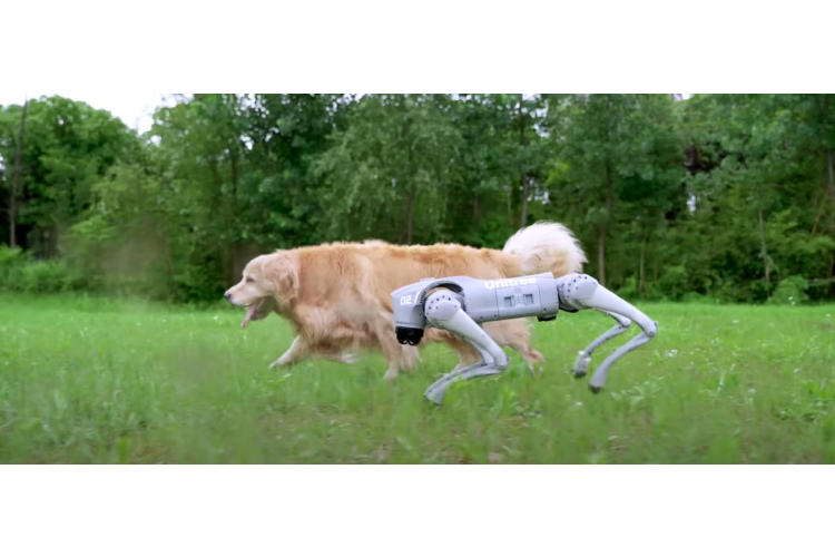 Roboti ieņem Ķīpsalu!