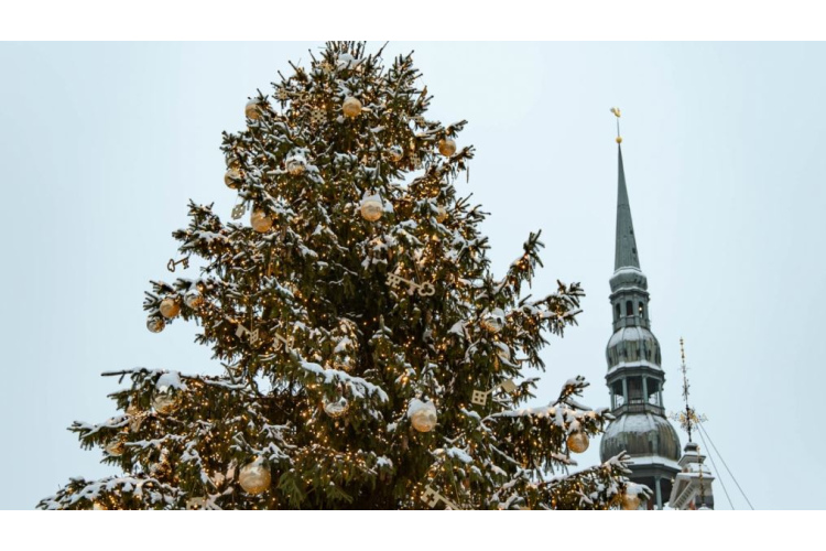 Pirmajā adventē iedegs Rīgas Ziemassvētku egles