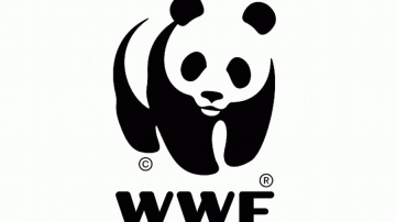 COP28 valstis vienojas par virzību prom no fosilā kurināmā