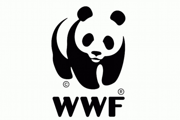 COP28 valstis vienojas par virzību prom no fosilā kurināmā