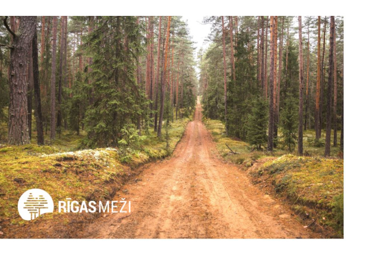 2023.gads “Rīgas mežos” – izaicinājumi, inovācijas un uzvaras