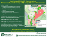 RĪGAS MEŽI uzsāks meža kopšanu Tīreļu mežniecībā, starp Jaunmārupi, Mārupes novadā un Pīļu kalniņu Olaines novadā