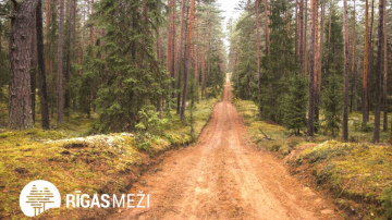 2023.gads “Rīgas mežos” – izaicinājumi, inovācijas un uzvaras