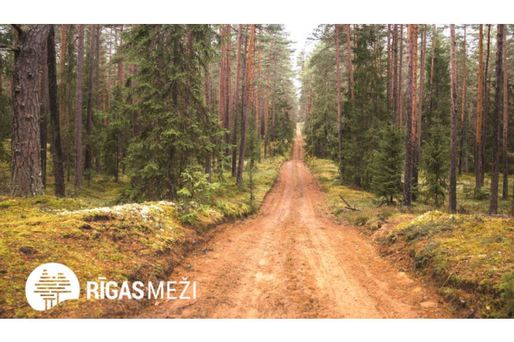 2023.gads “Rīgas mežos” – izaicinājumi, inovācijas un uzvaras