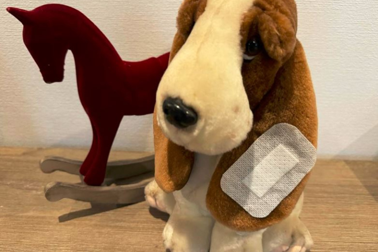 Plāksteri – ne tikai uz brūces jeb ceļvedis pareizai plāksteru lietošanai