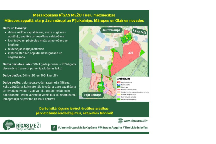 RĪGAS MEŽI uzsāks meža kopšanu Tīreļu mežniecībā, starp Jaunmārupi, Mārupes novadā un Pīļu kalniņu Olaines novadā