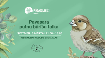 RĪGAS MEŽI svētdien uzsāk šī gada Pavasara putnu būrīšu talkas.  Pirmais pasākums – Anniņmuižas mežā!