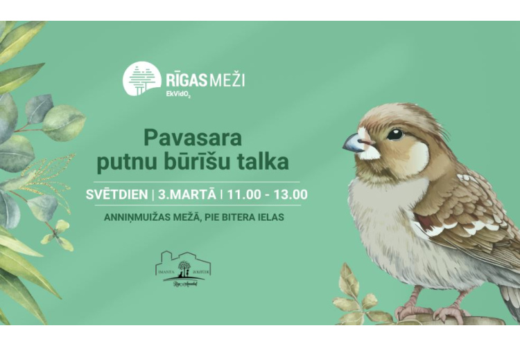 RĪGAS MEŽI svētdien uzsāk šī gada Pavasara putnu būrīšu talkas.  Pirmais pasākums – Anniņmuižas mežā!