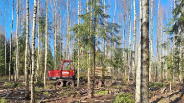 Pirmo reizi RĪGAS MEŽU Juglas mežniecībā, pie Ulbrokas, meža darbus veiks ar dabai saudzīgāku mazgabarīta tehniku
