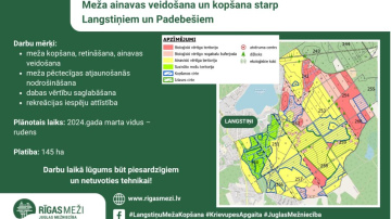 RĪGAS MEŽI atsāks mežu ainavas veidošanu un kopšanu starp Langstiņiem un Padebešiem, Juglas mežniecībā
