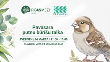 RĪGAS MEŽI turpina Pavasara putnu būrīšu talkas. Šosvētdien – Pļavnieku mežā
