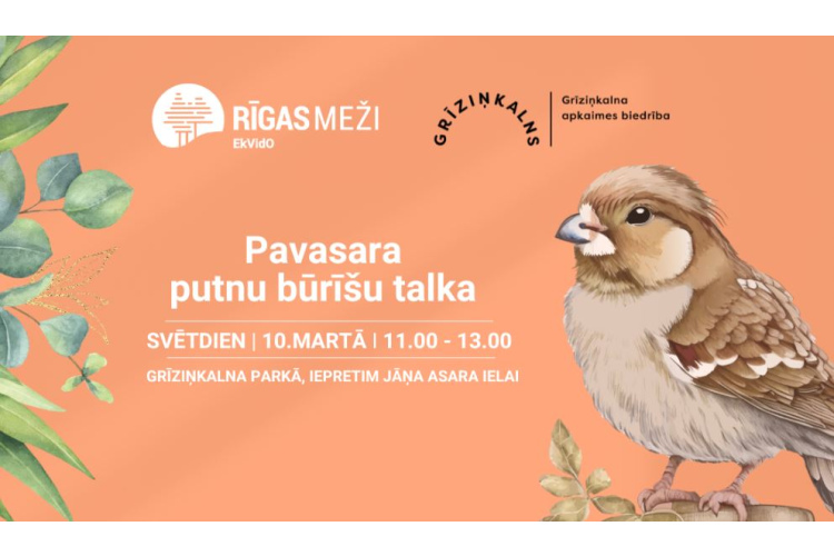 RĪGAS MEŽI turpina Pavasara putnu būrīšu talkas. Šosvētdien – Grīziņkalnā