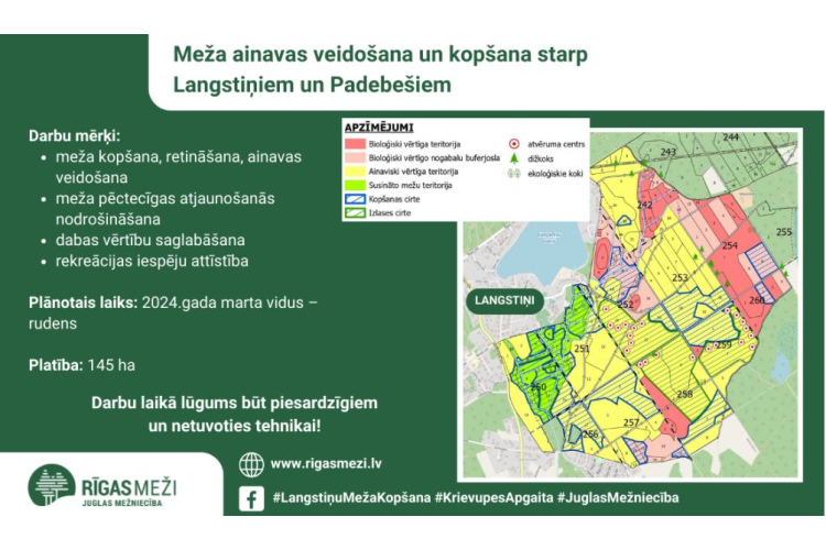 RĪGAS MEŽI atsāks mežu ainavas veidošanu un kopšanu starp Langstiņiem un Padebešiem, Juglas mežniecībā