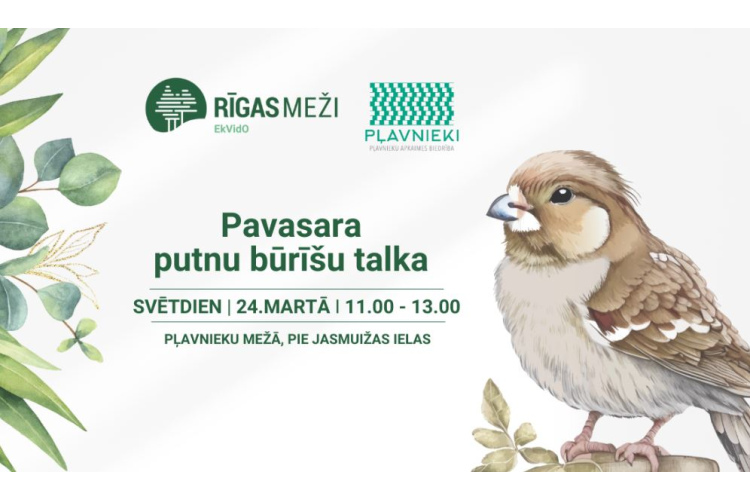 RĪGAS MEŽI turpina Pavasara putnu būrīšu talkas. Šosvētdien – Pļavnieku mežā