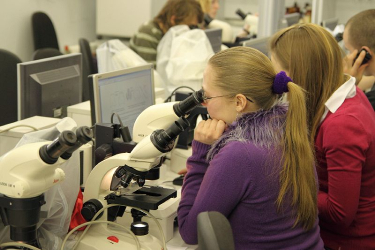 Luminor banka aicina pieteikties 30 apmaksātām vasaras prakses vietām