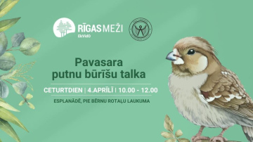 RĪGAS MEŽI turpina Pavasara putnu būrīšu talkas.  Šajā ceturtdienā, “Ēnu dienas” ietvaros, talka notiks Esplanādē