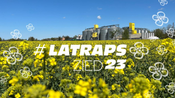 Lauksaimnieku kooperatīvs “Latraps”: Latvijā strauji pieaug zirņu sējplatības
