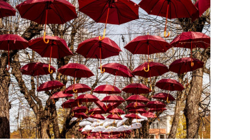 Latvijas Republikas Neatkarības atjaunošanas gadadiena Ogrē