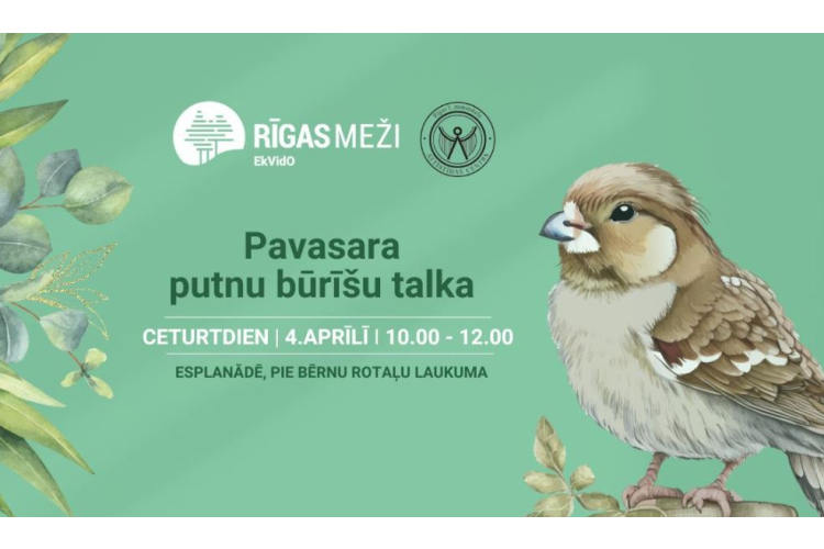 RĪGAS MEŽI turpina Pavasara putnu būrīšu talkas. Šajā ceturtdienā, “Ēnu dienas” ietvaros, talka notiks Esplanādē