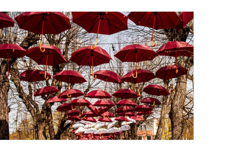 Latvijas Republikas Neatkarības atjaunošanas gadadiena Ogrē