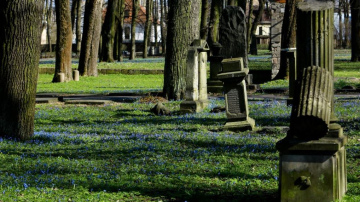 Metu konkursā Lielo kapu memoriāla vērtību saglabāšanai un attīstīšanai saņemti pieci priekšlikumi