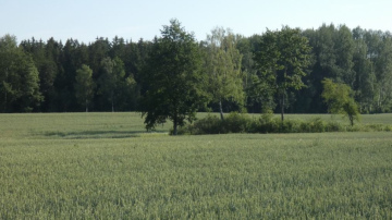 Zemkopības ministrs Armands Krauze: ES vides un klimata mērķi nedrīkst negatīvi ietekmēt lauku apvidu attīstību