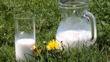 Kā uzglabāt un izlietot pāri palikušos piena produktus?