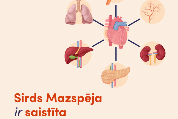 Atzīmējot Sirds (maz)Spējas dienas, vērš uzmanību sirds mazspējai un blakusslimībām