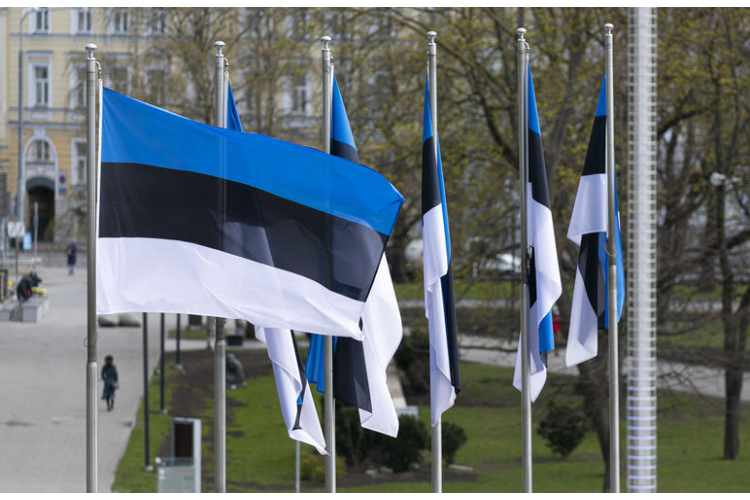 Baiba Braže darba vizītē apmeklēs Igauniju
