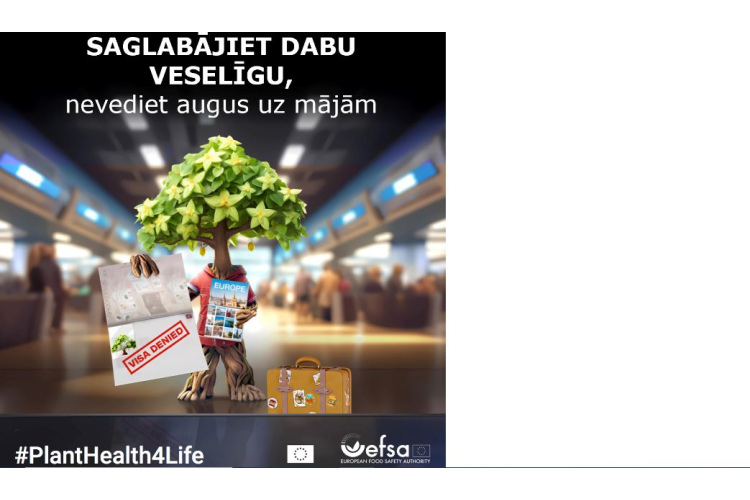 Šodien atsākas kampaņa “#PlantHealth4Life” –    lai vecinātu izpratni par cilvēka rīcības ietekmi uz augu veselību...