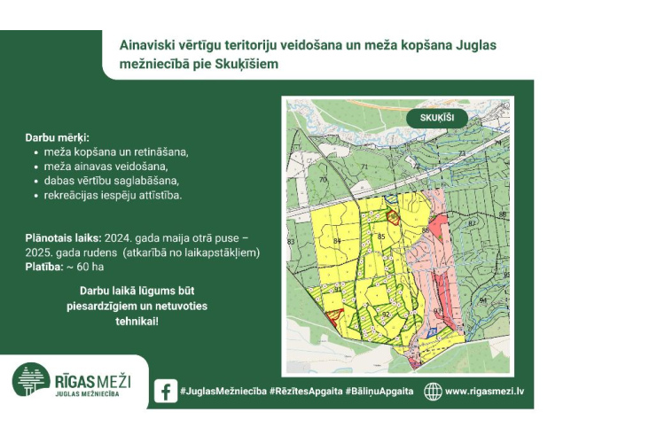 RĪGAS MEŽI uzsāk meža kopšanu Juglas mežniecībā, Ropažu novadā,   pie Skuķīšiem