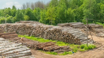 Rīgas valstspilsētas kapitālsabiedrības “Rīgas meži” pārdotās kokzāģētavas “Norupe” darbinieku atklātā vēstule ...