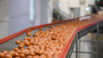 APF Holdings ieņēmumi pērn sasniedza 13,3 miljonus eiro, bet peļņa 527 tūkstošus eiro