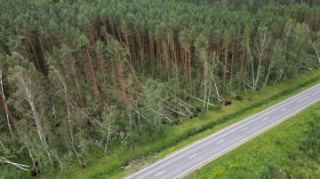 Apzināti vētras postījumi “Rīgas mežu” teritorijās:   Rīgā nolauzti gandrīz 350 koki
