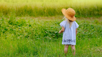 Indīgie augi Latvijā. Kas par tiem jāzina un kurus jāprot atpazīt?