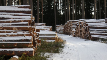 Turpmāk apakļkoksnes uzmērīšanā jāiekļauj arī koksnes kvalitātes raksturlielumi