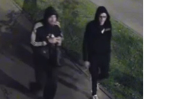 Valsts policija meklē video redzamās personas