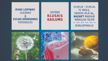 Izstāde KLUSAIS KAILUMS. Ievas Liepiņas gleznas un Evijas Džonsones fotoskices.