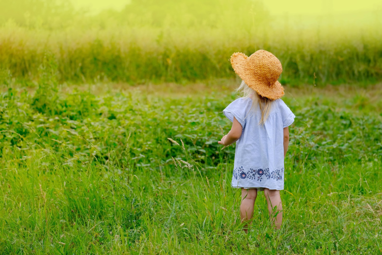 Indīgie augi Latvijā. Kas par tiem jāzina un kurus jāprot atpazīt?